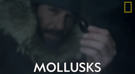 Screenshot 2025-08-20 041652.png